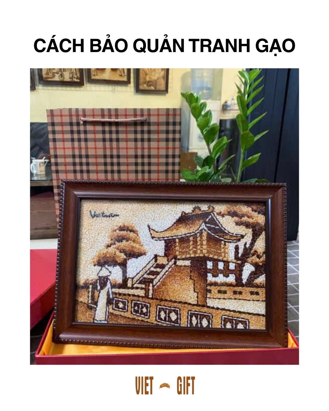 Bảo Quan Tranh