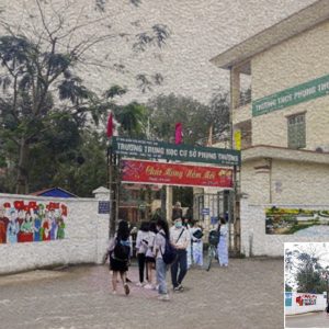 Tranh Gạo Màu Ảnh